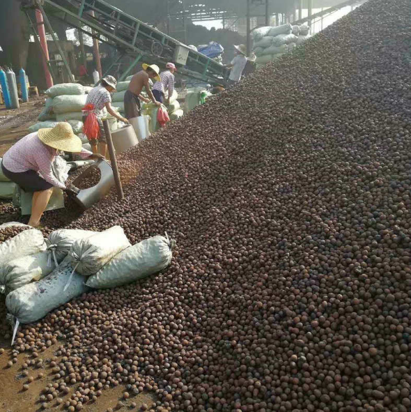 達(dá)人建材有限公司陶粒廠家 達(dá)人建材有限公司陶粒廠家