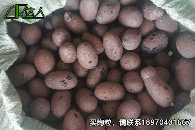 撫州陶粒_撫州陶粒批發_衛生間回填陶粒 撫州陶粒_撫州陶粒批發_衛生間回填陶粒